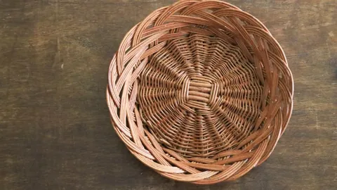 《體育週刊》專訊：萊萬及拉菲德容將進行健康評估，確定復出賽程安排