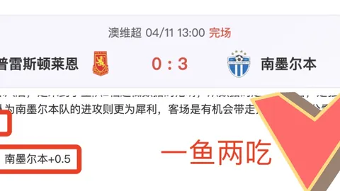 《电竞战队激战正酣，谁将问鼎冠军宝座？》